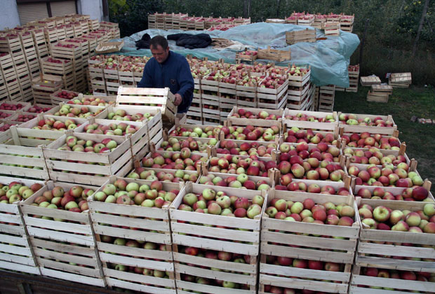 Оштрије мере извоза у РС